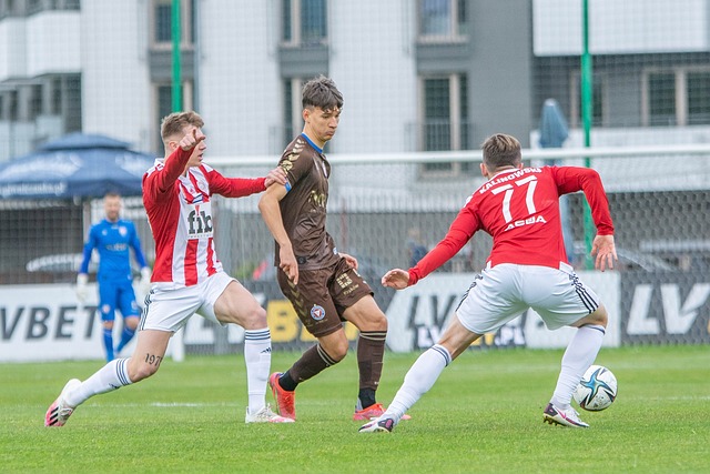 使文章更具 使文章更具