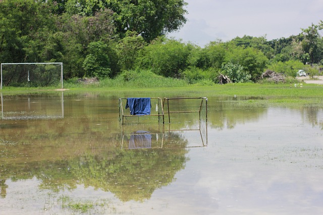 西甲第38輪巴拉多利德1-2馬德裏競技 科雷亞破門蘇亞雷斯制勝.